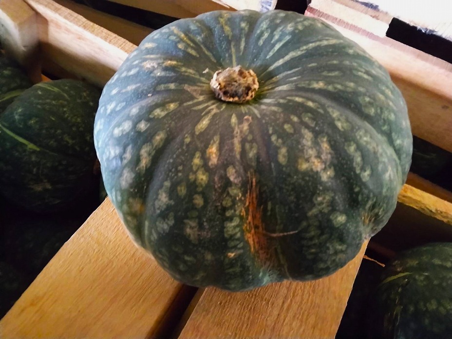 ʐ^